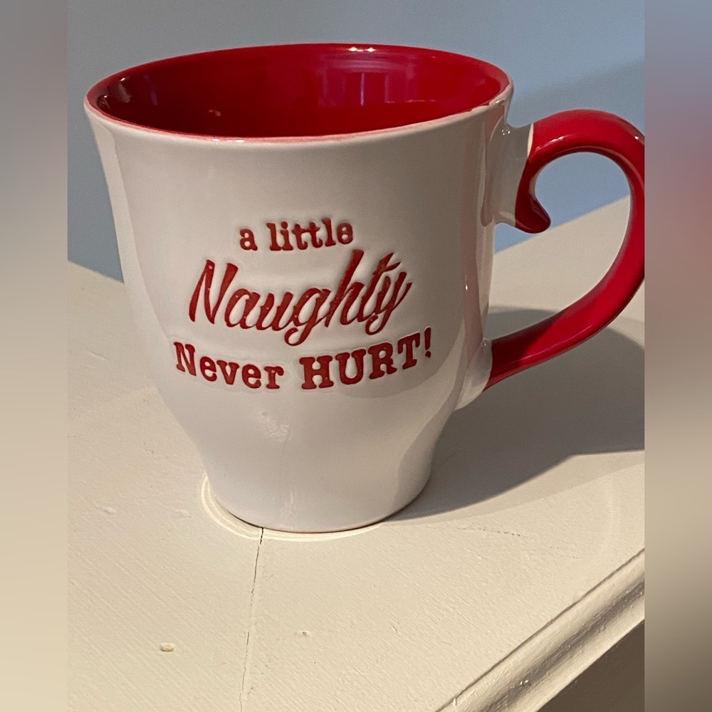 Red and White Ceramic Mug a little naughty never hurt double sided red inside